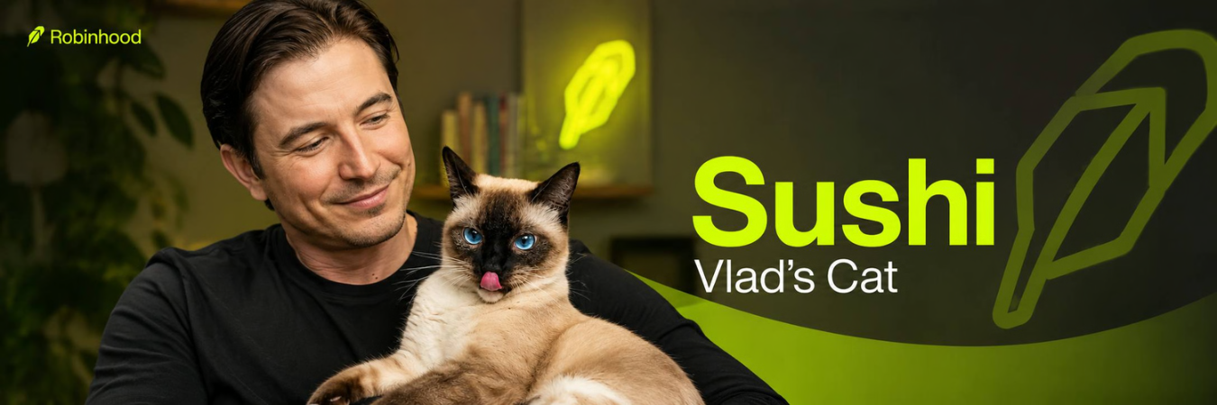 Vlad's Cat banner